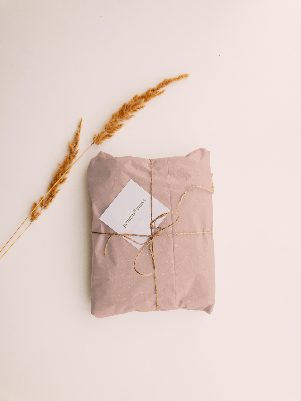 Le Chèque Cadeau — illustration originale 1